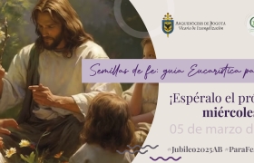 Diseño Vicaría de Evangelización